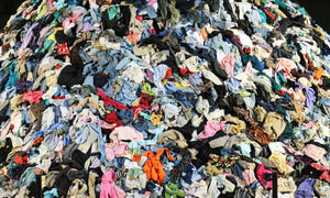 Fast Fashion and Returns Policies that Overwhelm Landfill