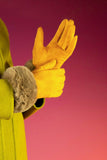 **Faux Fur Trimmed Bettina Gloves Gloves Powder Mustard 